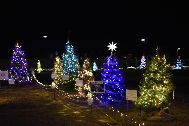 Piedmont CASA decora un Dreaming Tree para niños en el Junior League Tinsel Trail. diciembre 2021