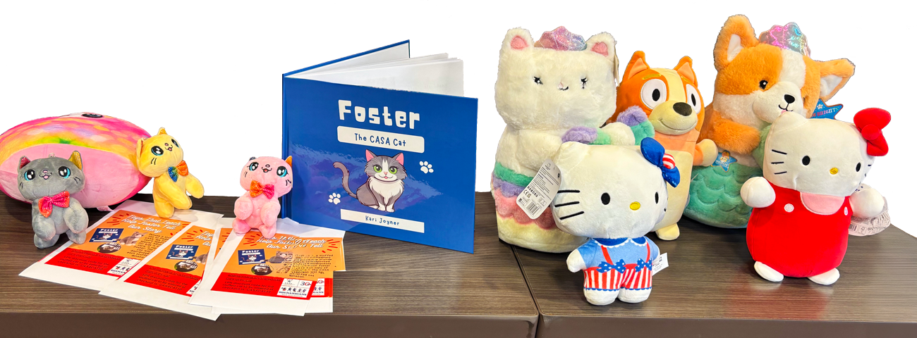 Stuffed-kitties-donated-by-Rotary-INVISIBLE-GROUND